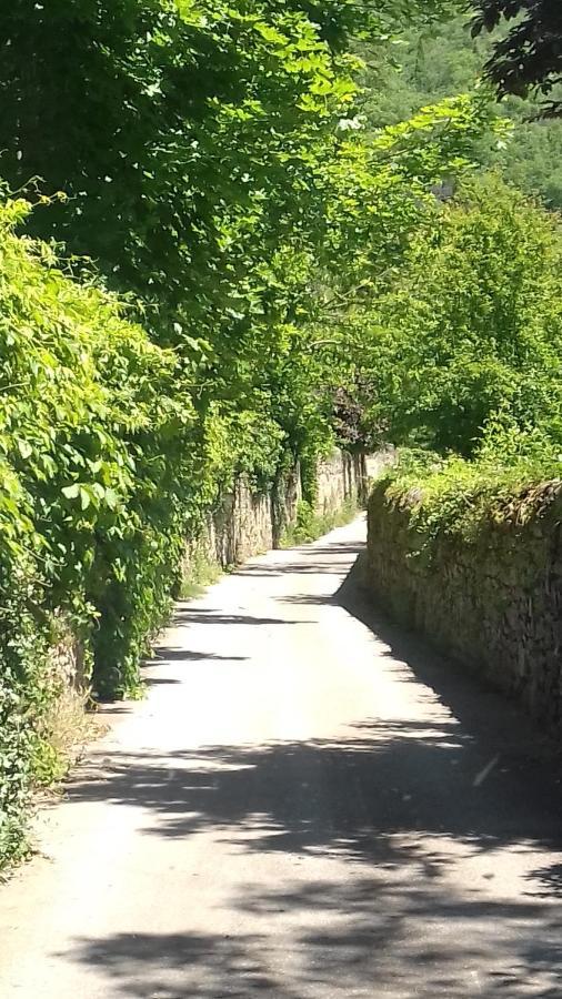 Gite 4 Personnes Au Calme Et Tout Confort Saint-Vallier  Exteriör bild